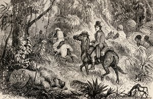 Mungo Park egy oroszlánnal találkozik, miközben Modiboo falujába ment, 1825